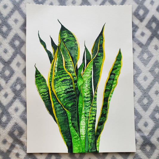 Original Snake Plant - Watercolor on Paper