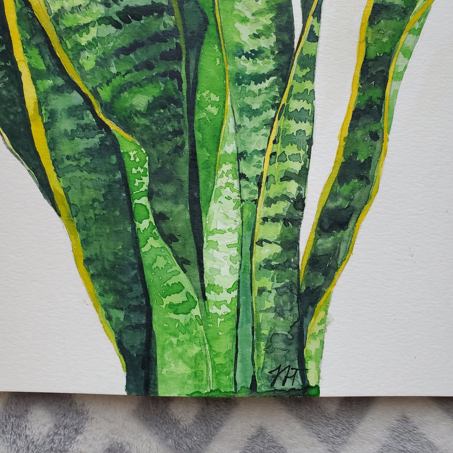 Original Snake Plant - Watercolor on Paper