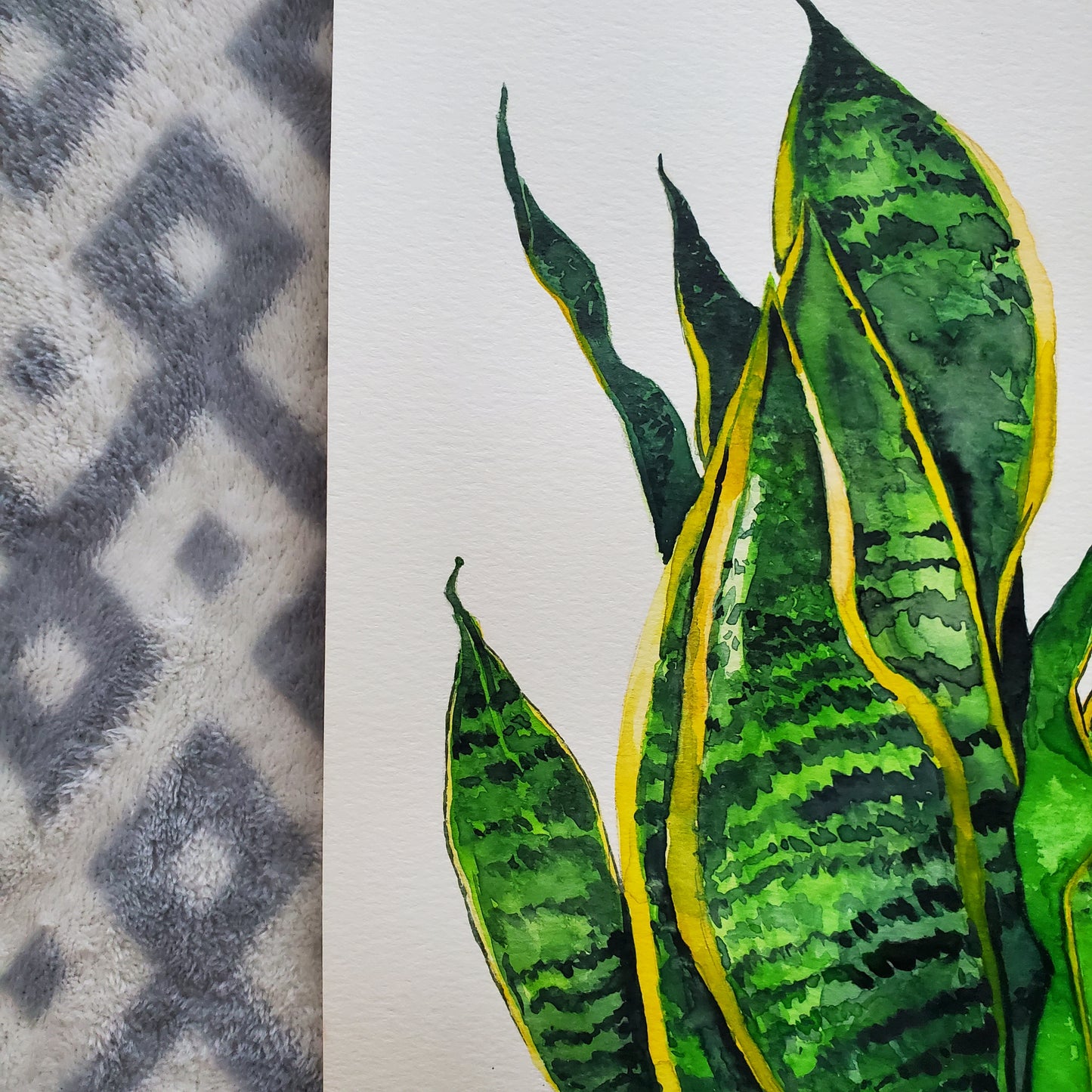 Original Snake Plant - Watercolor on Paper