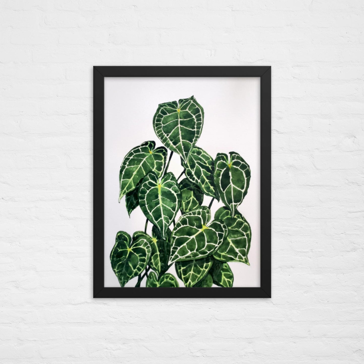 Anthurium Print