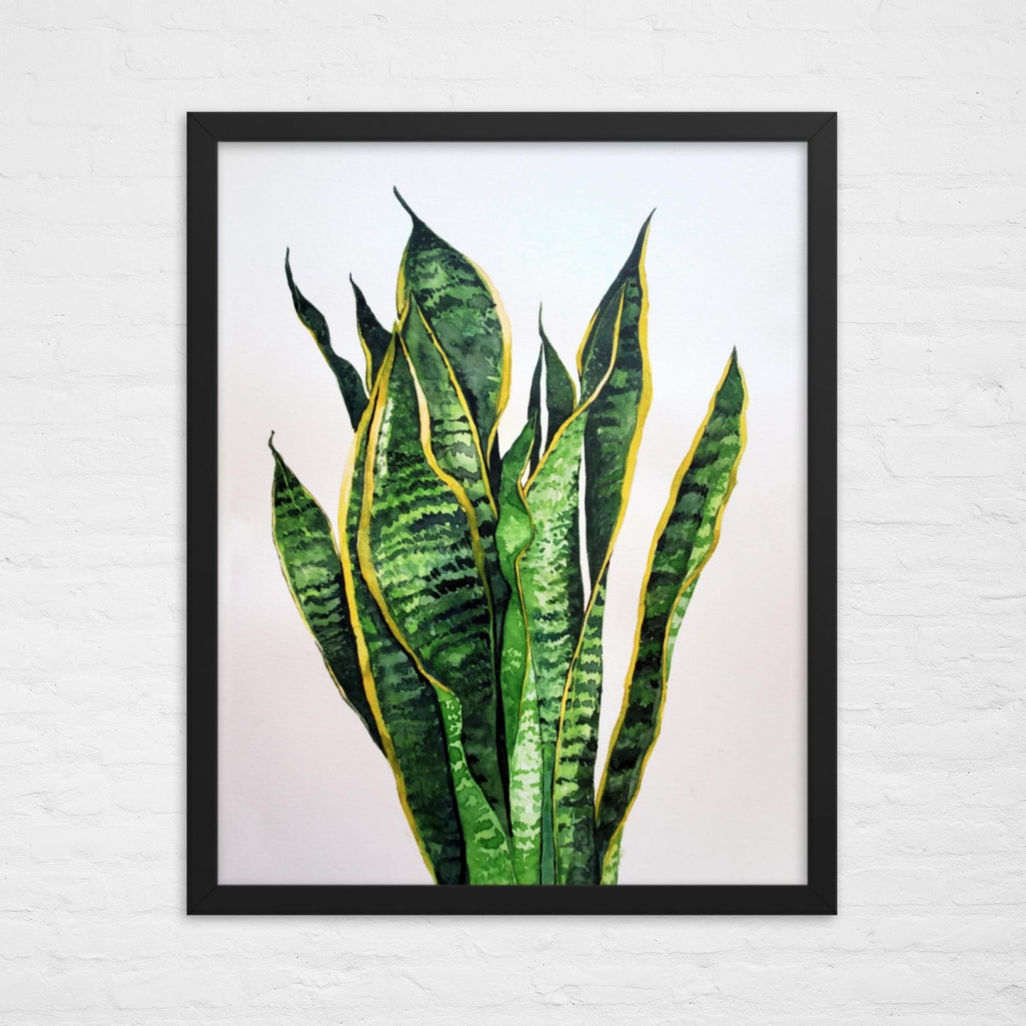 Snake Plant Print