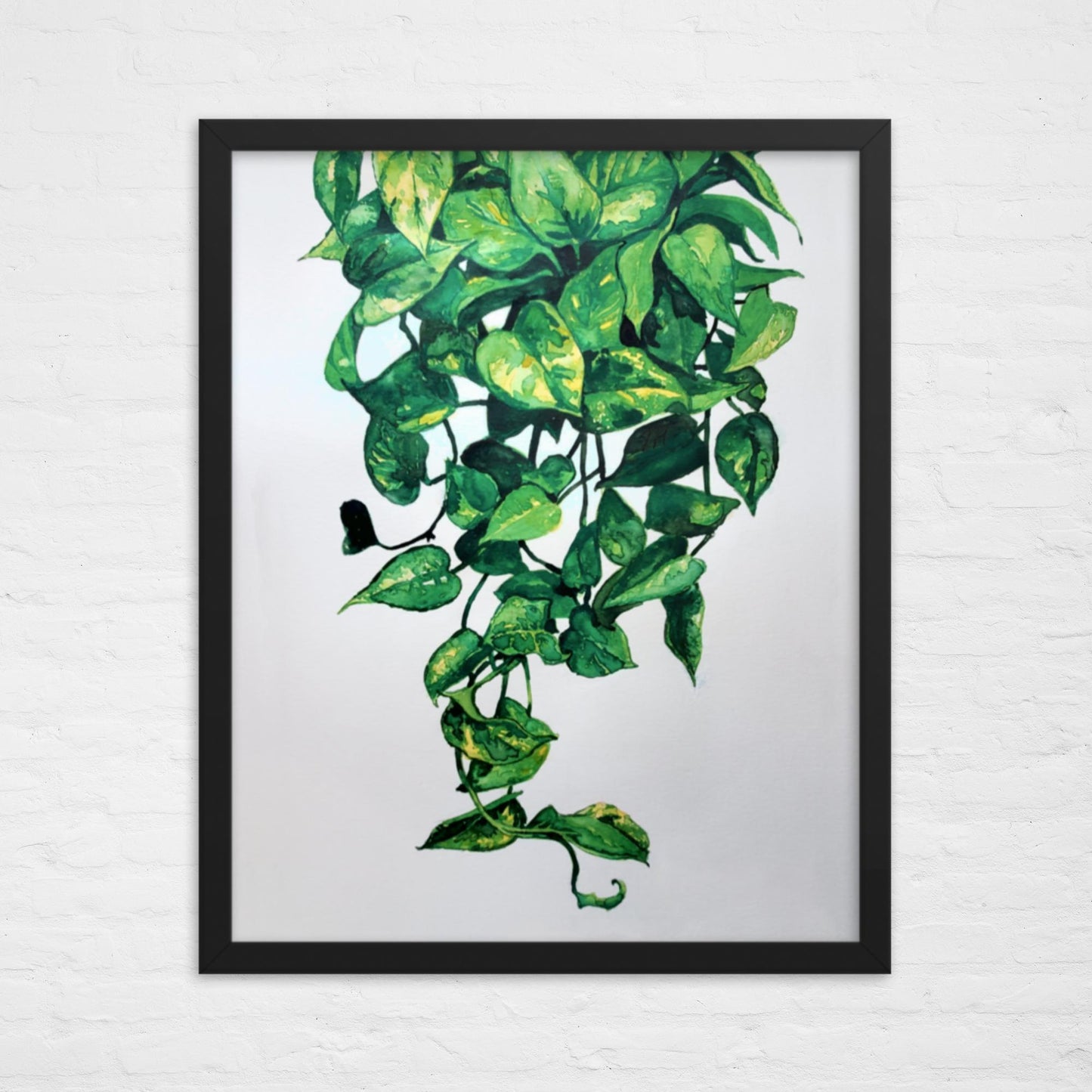 Pothos Plant Print