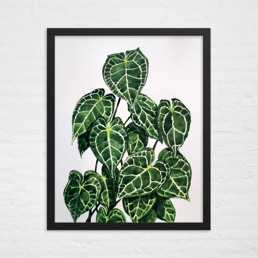 Anthurium Print