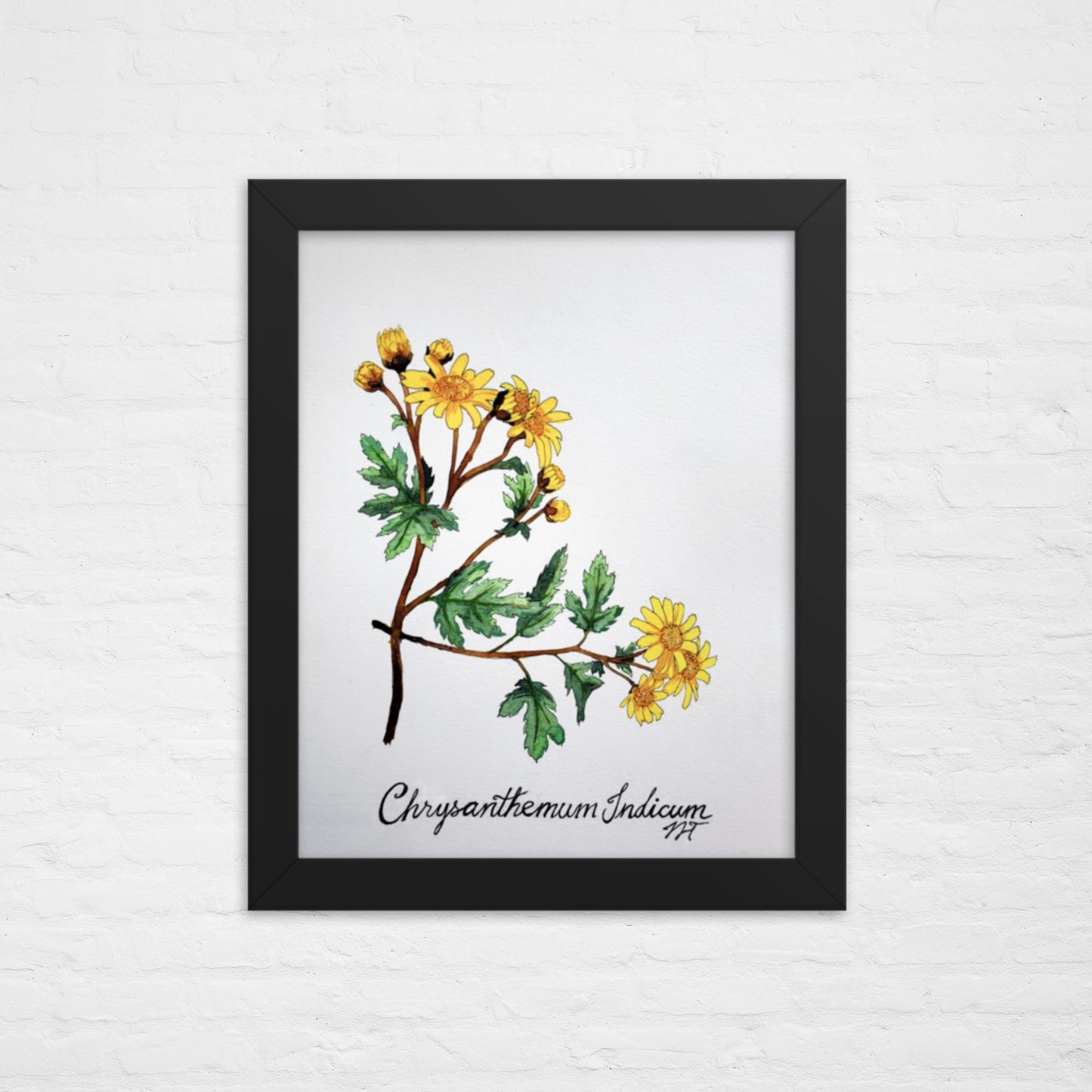 Chrysanthemum Print