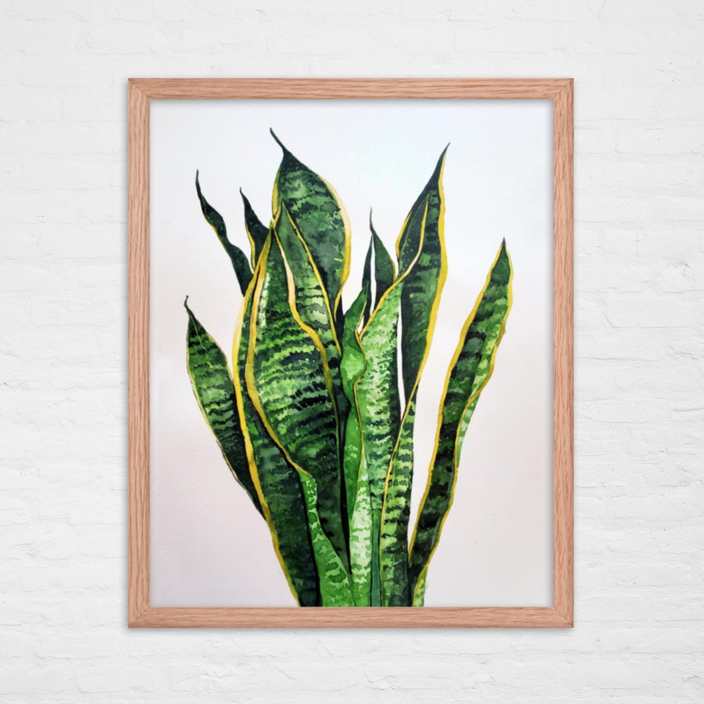 Snake Plant Print