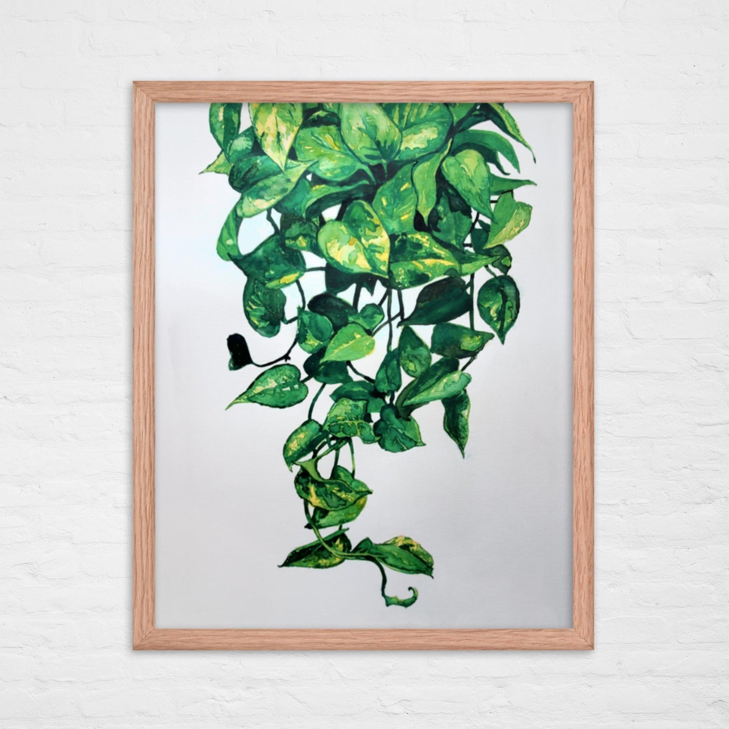 Pothos Plant Print