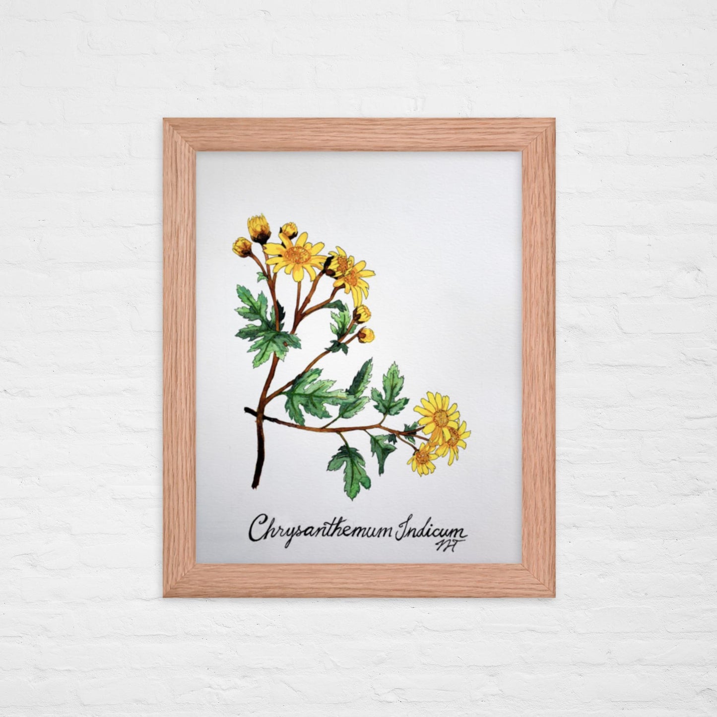 Chrysanthemum Print