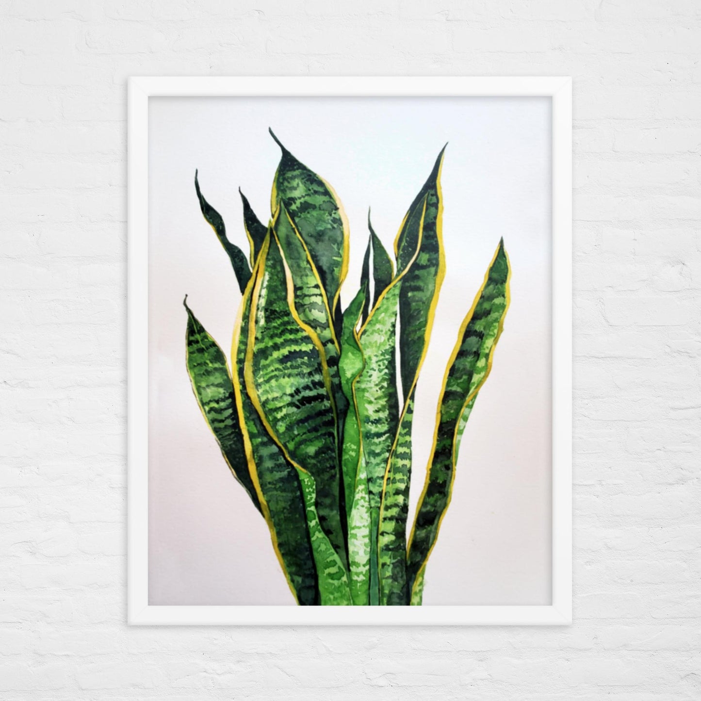 Snake Plant Print