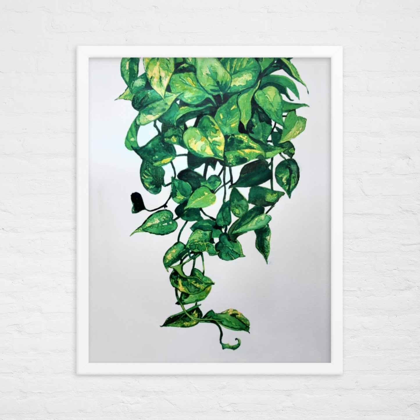 Pothos Plant Print