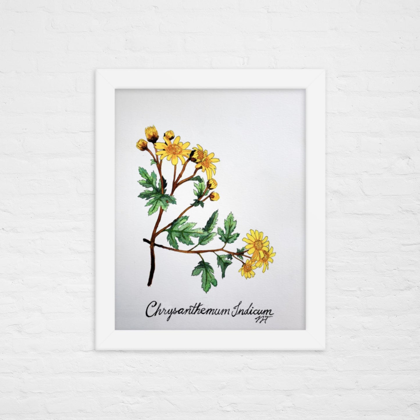 Chrysanthemum Print