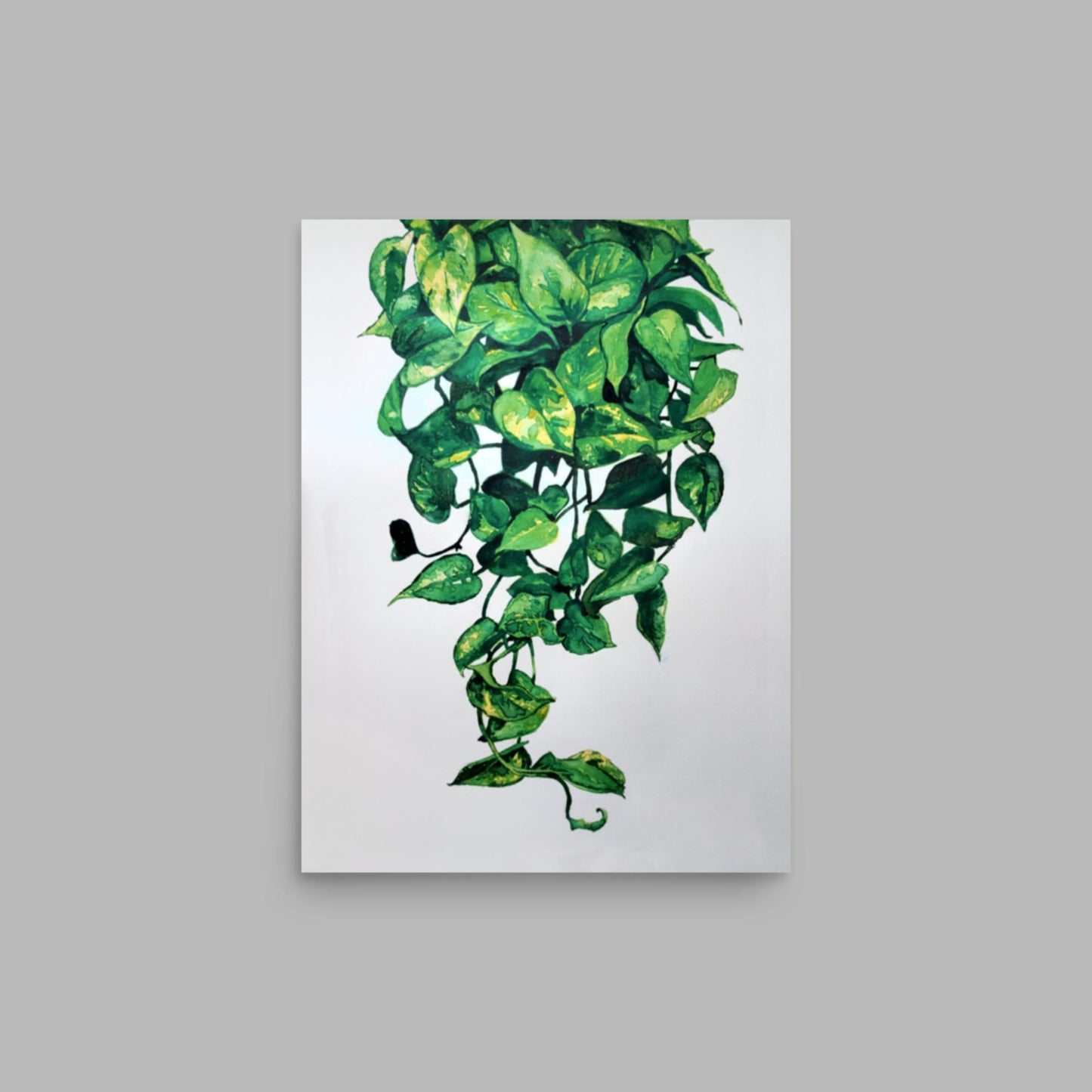 Pothos Plant Print