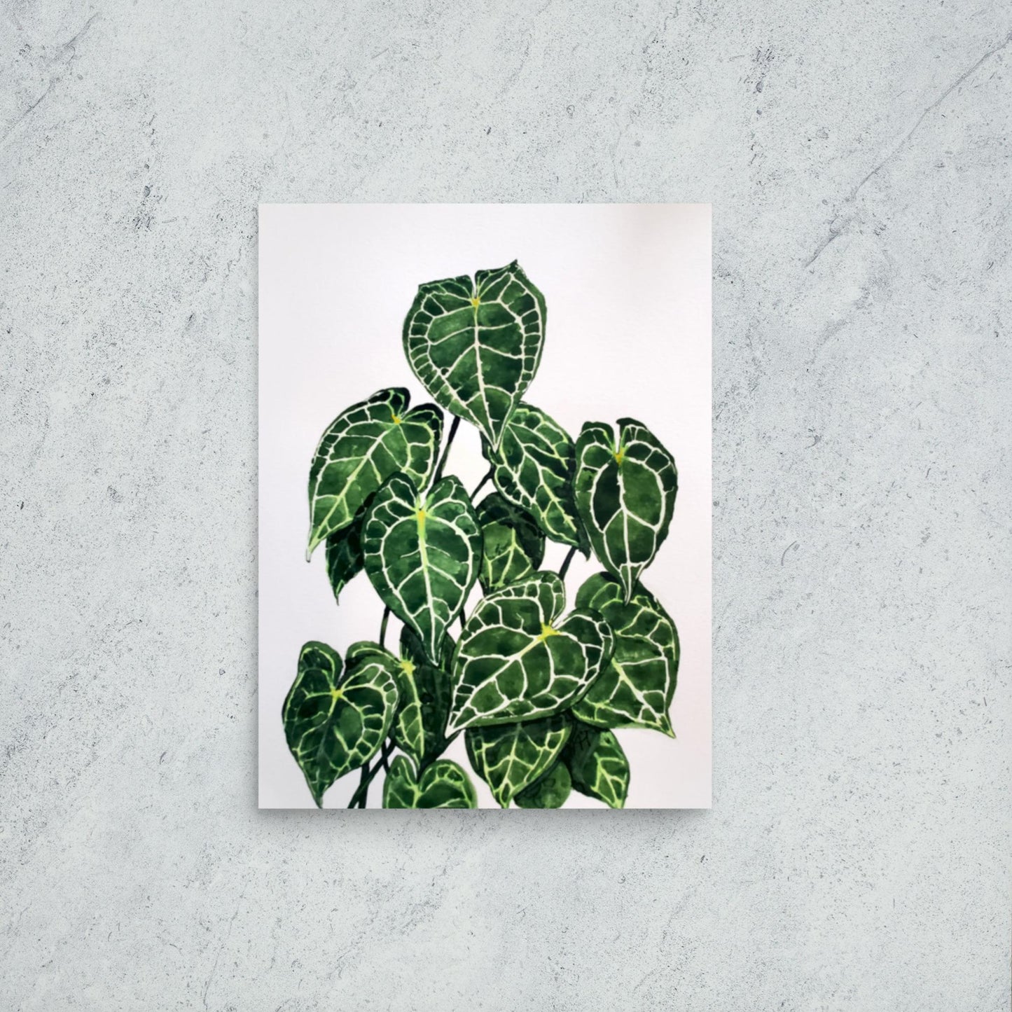 Anthurium Print