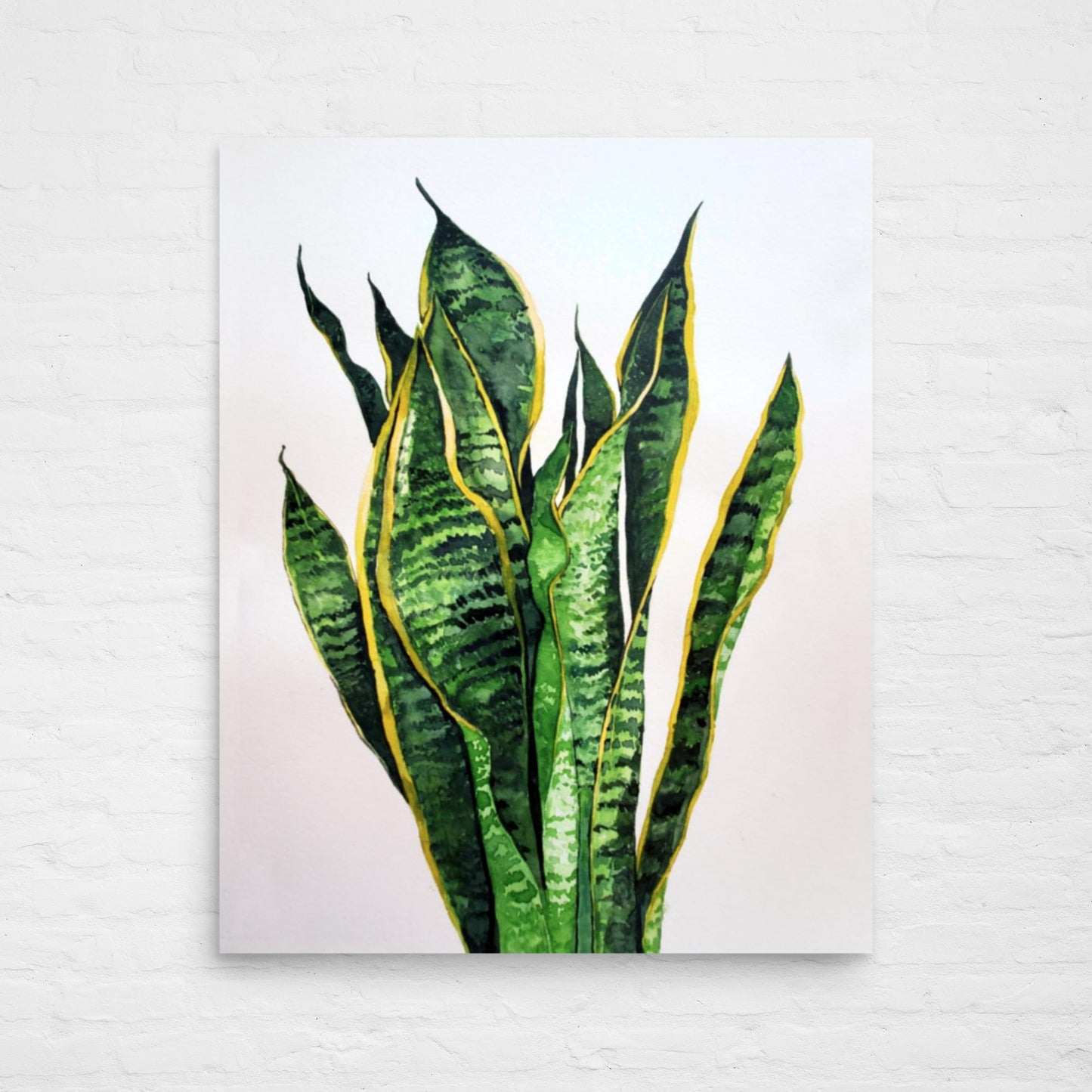 Snake Plant Print