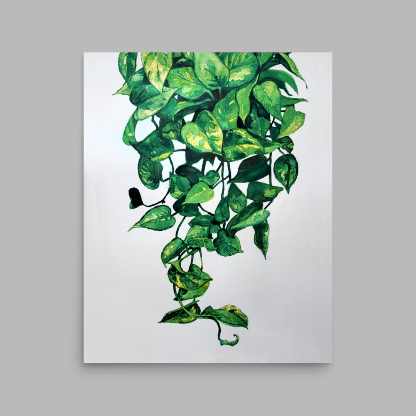 Pothos Plant Print