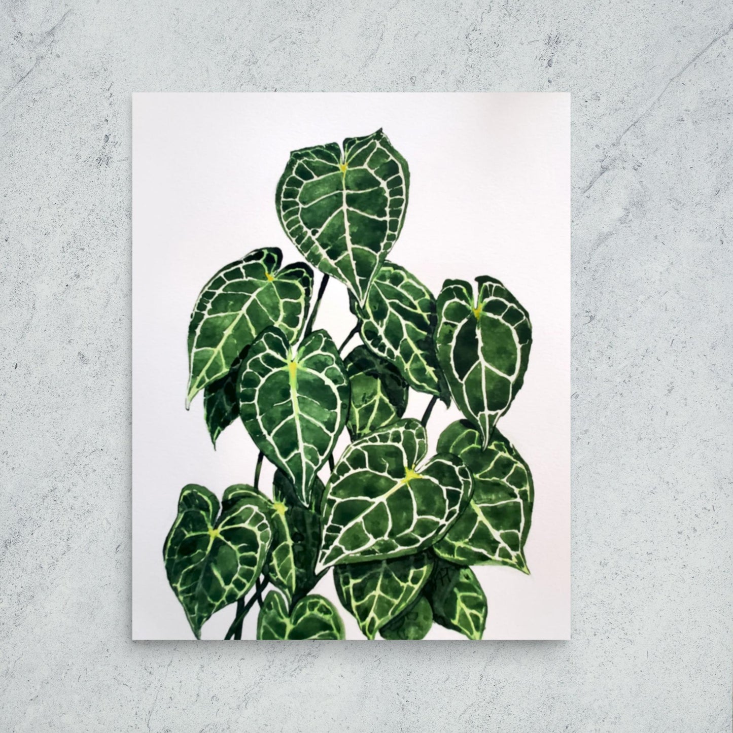 Anthurium Print