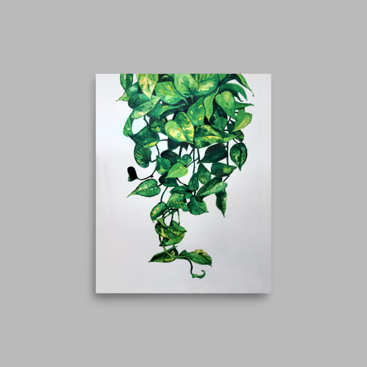 Pothos Plant Print