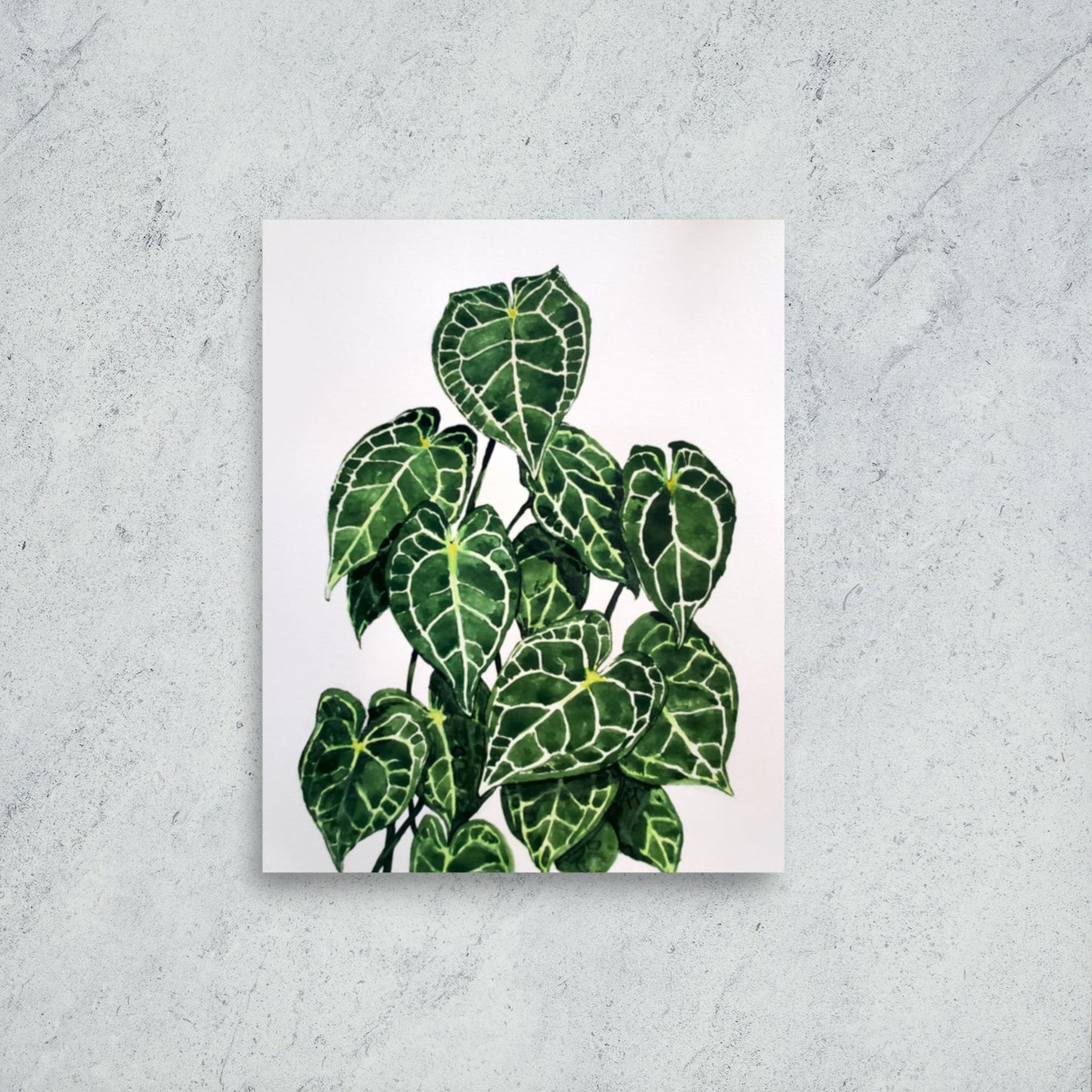 Anthurium Print